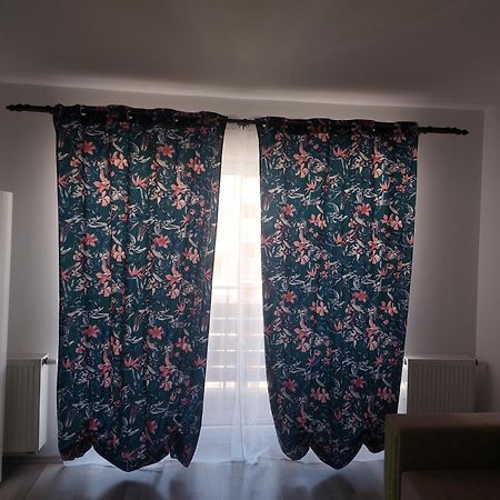 Ferienwohnung Casa Brianna Brașov Exterior foto