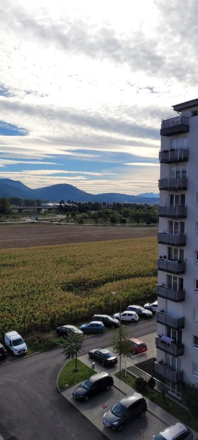 Ferienwohnung Casa Brianna Brașov Exterior foto